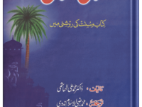 Misali Musalman
مثالی مسلمان