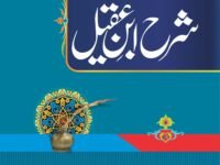 Sharah Ibn e Aqeel (Mutarjam vol 1)شرح ابن عقیل(مترجم جلد اول)