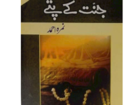 JANNAT KY PATTAY