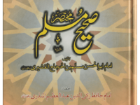 Mukhtasar Sahih Muslim (Large)