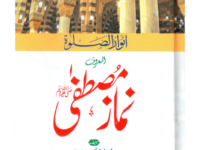 Namaz e Mustafa (Anwaar-us-Salah)