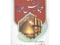 Seerat Hazrat Abbas Alamdar  سیرت حضرت عباس علمدارQari Gulzaar Ahmed Madni