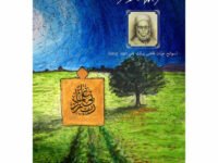 Shajar Saya Daar - Swaneh Hayat Qazi Barkat Ali 1927 - 2019 - Dr. Ali Muhammad Khan
