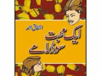 Aik Mohabat Sau Dramay