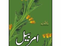 Amar Bail - Bano Qudsia