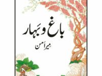 Bagh o Bahaar: Qisa Chahar Darvesh