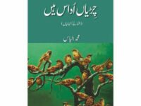 Chiryan Udaas Hain - Muhammad Ilyas