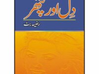 Dil Aur Pathar