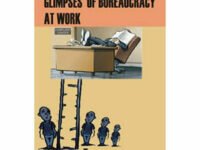 Glimpses Of Bureaucracy At Work
