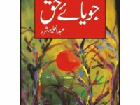 Joya-I-Haq