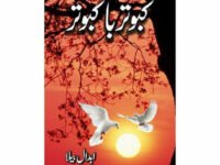 Kabootar Ba Kabootar