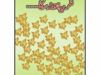 Magar Yeh Ho Na Saka ...