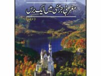 Magrabi Germany Main Aik Bars