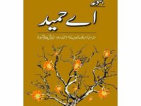 Majmua A Hameed:  Manzil Manzil - مجموعہ اے حمید