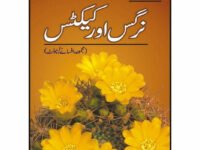 Majmua Afsanay Nargis Aur Cactus