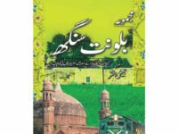 Majmua Balwant Singh (Novelette, Afsanay, Dramay, Interview, Bachon ki Kahanian)