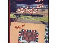 Majmua Munshi Prem Chand (Novel)