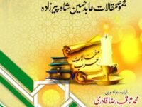 Maqalat e Arab(2 Volumes)