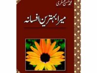 Mera Behtareen Afsana