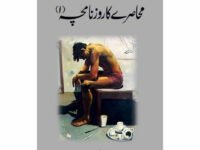 Muhasray Ka Roznamcha (1) - Wajahat Masood