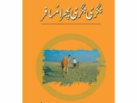 Nagri Nagri Phira Musafir - Abu Bakar Shaikh