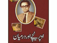 Ooper Neechay Aur Darmayan