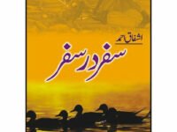 Safar Der Safar