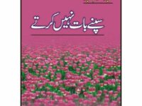 Sapnay Baat Naheen Kartay
