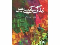 Zindagi Kay Melay Main