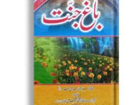 Bagh e Jannat