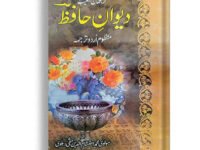 Ghulam Abbas k shahqaar (Novel)