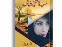 Meda Ishq Wi Tu