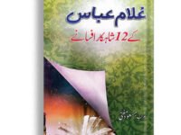 Aam Lasaniyaat