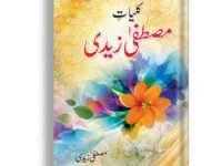 Quliate Mustafa Zaidi