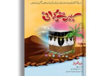 Seerat Kahani