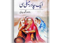 Tareekh Ka Naya Moor