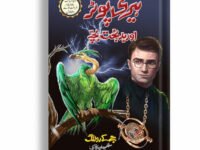Harry Potter Or Badbakht Bacha