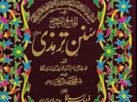Jamia Tirmidhi(2 Volumes)