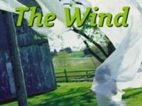 The Wind: This Non-Chronological Report Shows How And What The Wind Can Blow (Collins Big Cat)