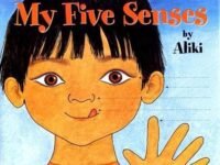 My Five Senses Big Book