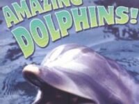 Amazing Dolphins!