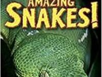 Amazing Snakes (I Can Read Level 2)