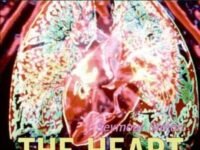 The Heart:all About Our Circulatory System And More!