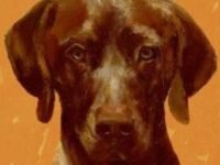 The Leanin' Dog