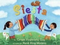 Siesta Board Book:Bilingual English-Spanish
