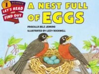 A Nest Full Of Eggs