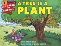 A Tree Is A Plant