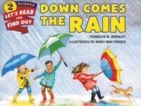 Down Comes The Rain