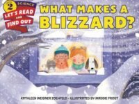 What Makes A Blizzard?