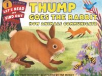 Thump Goes The Rabbit:How Animals Communicate